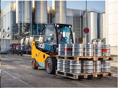 JCB 35-22E